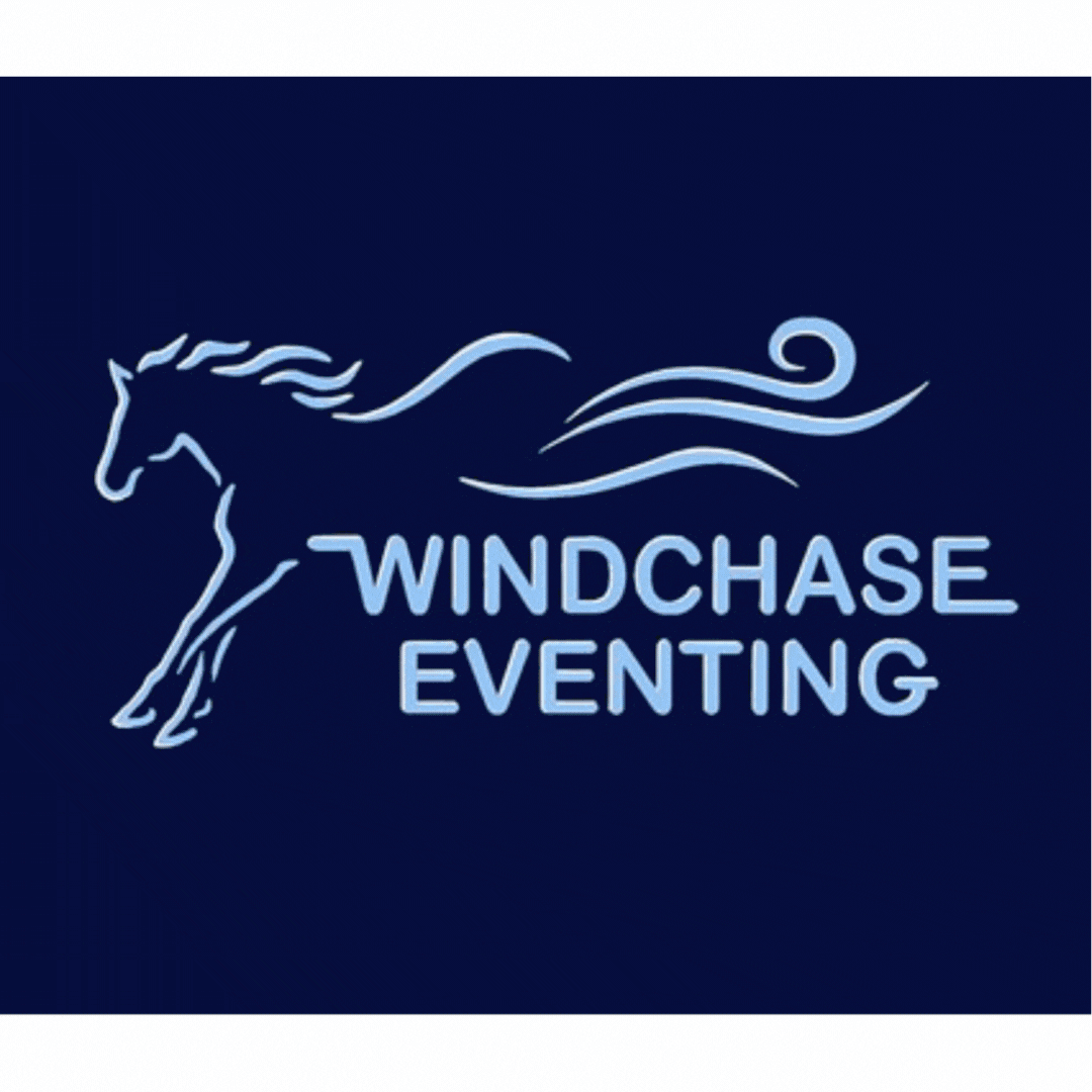 Windchase - About Irish Horses