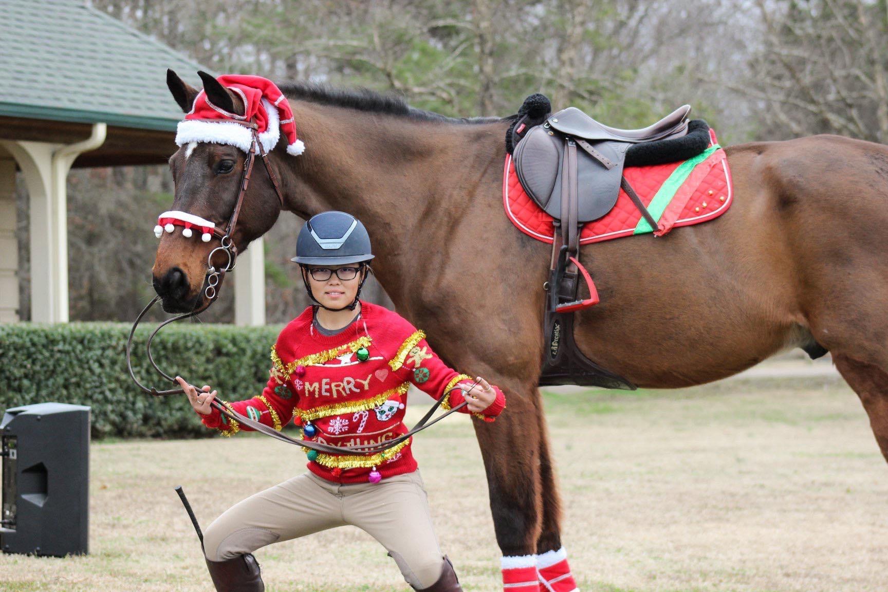 Show Jumping Schooling Show and Dog Jumping! <strong>$500 Prize Money!</strong>