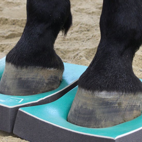 "surefoot.jpg"