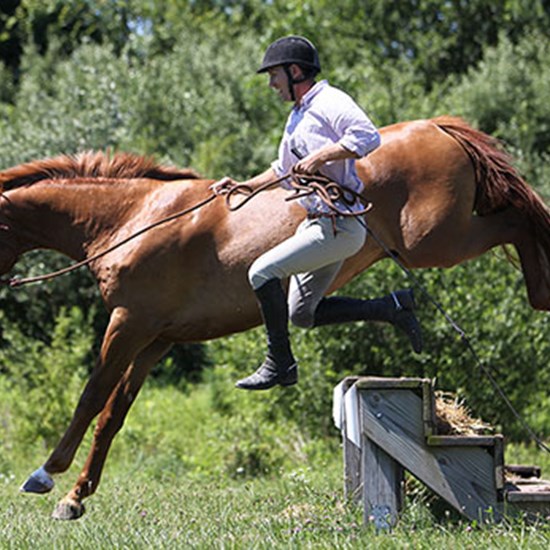 "horsemanship2.jpg"
