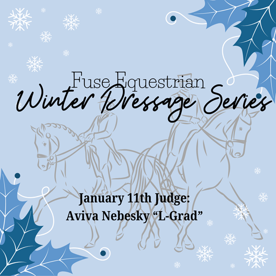 "Winter Dressage Series StriderPro (2).png"