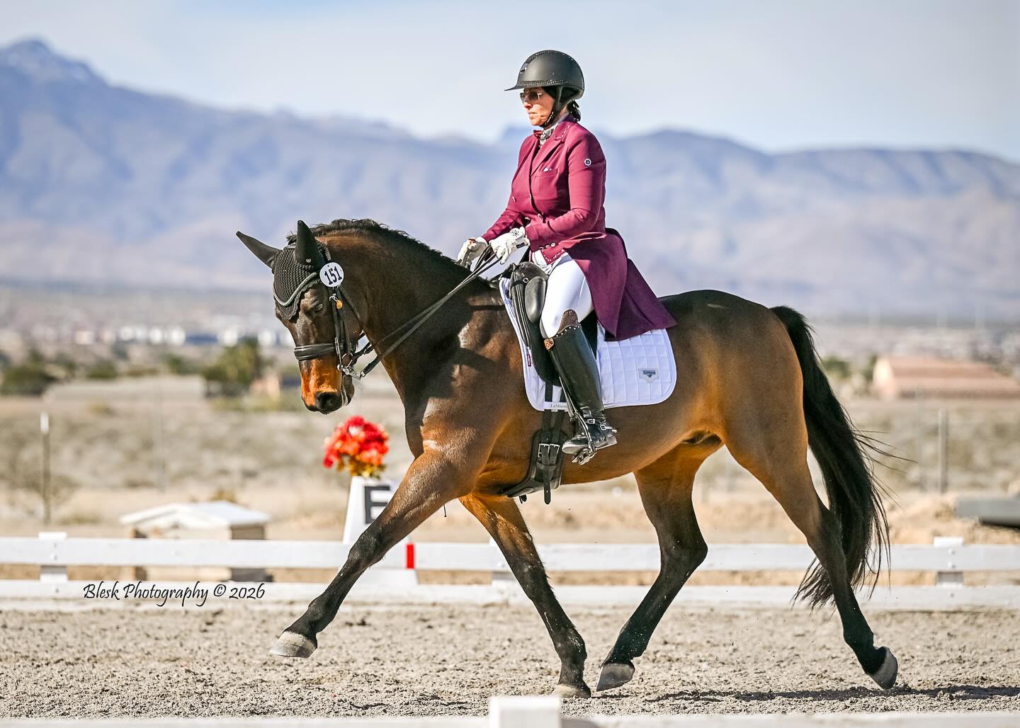 Spring Dressage at Blue Ribbon