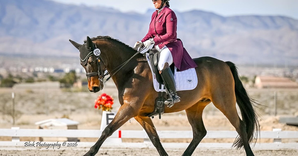 Spring Dressage at Blue Ribbon
