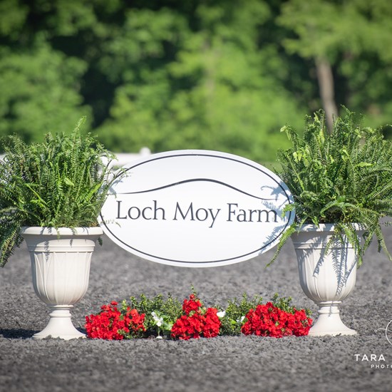 "Loch Moy Farm Sign_©TJP2025.jpg"
