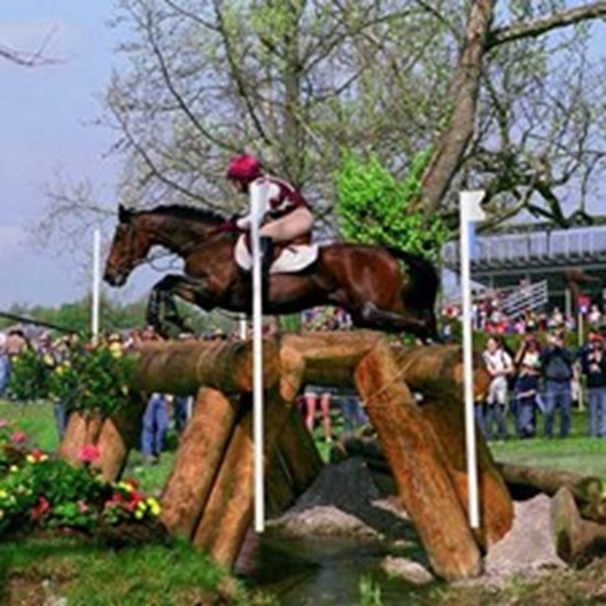 "04aed80b-12f9-4d1a-9f51-9f842155f17f.jpg"