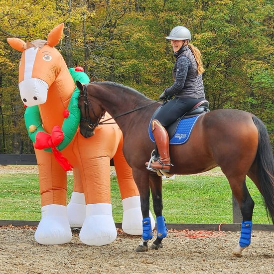 "BlueWoodFarm_DressageHorse_Obstacle_SaraVanecek.jpg"