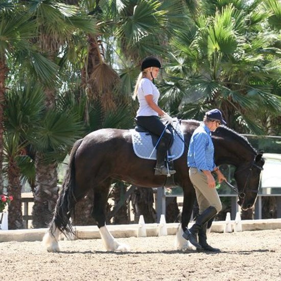 "William Faerber teaching2.jpg"