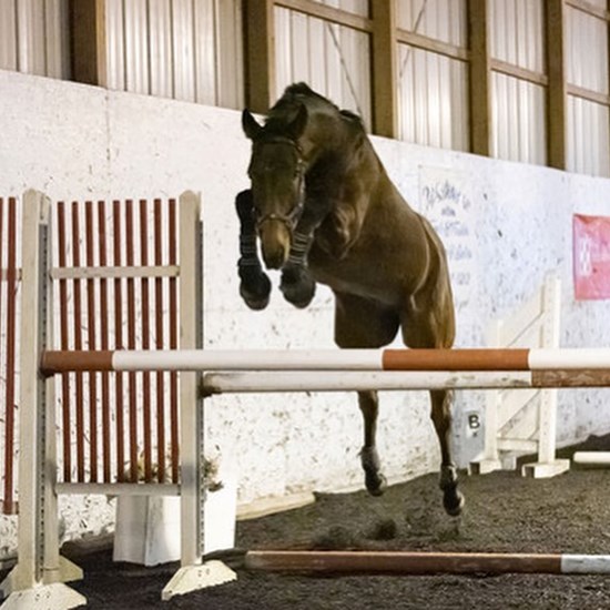 "free jump.jpg"