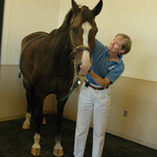 "chiro.jpg"