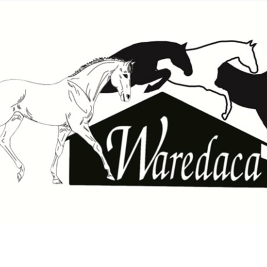 "WAREDACA_LOGO_STRIDER.png"
