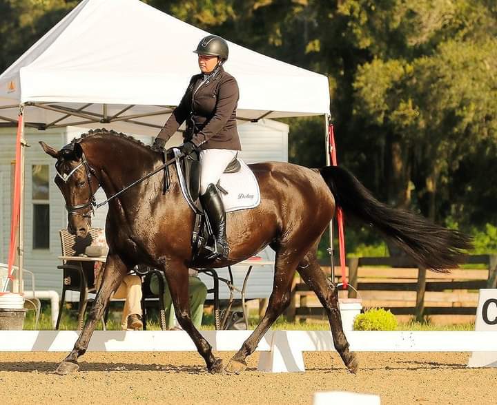 Barnstaple South THURSDAY Dressage Tests