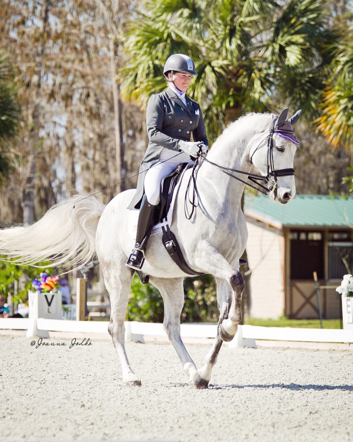 Intercollegiate Dressage Association Zoom Meet & Greet With
