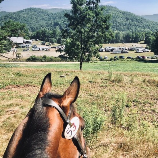 "HitchingPostFarm_StriderPro_HorseTrials.jpg"
