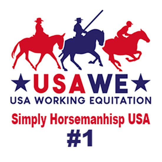 "Strider pro 1 .jpg"