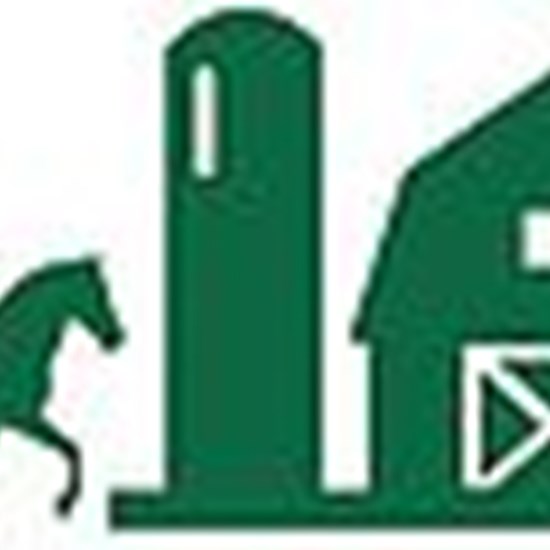 "TFE Logo.jpg"