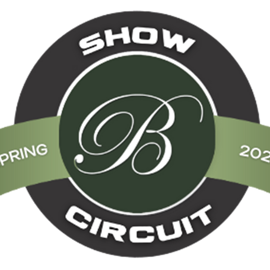 "Circuit Spring Logo rectangle.png"