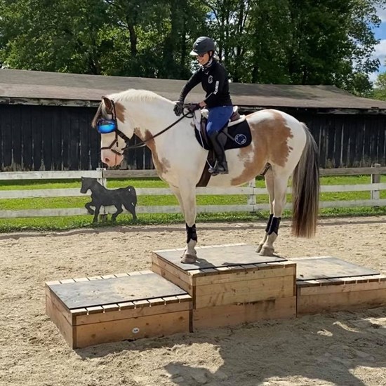 "119121661_3240138962701058_6245411163680395631_n.jpg"