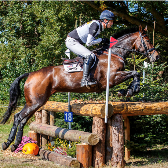 "WilliamFoxPittClinic_FairviewEquestrian.png"