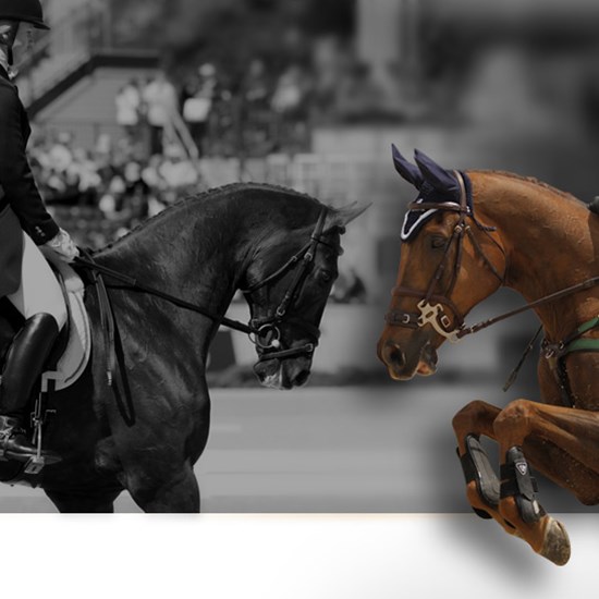 "allison-springer (1).jpg"