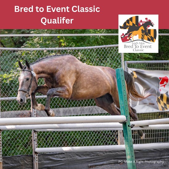 "Bred to Event September 2025 Qualifer.jpg"