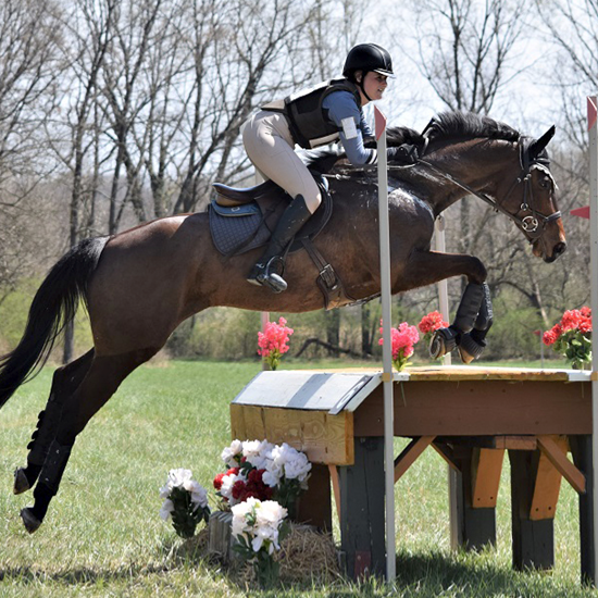 "Windchase_Eventing.png"