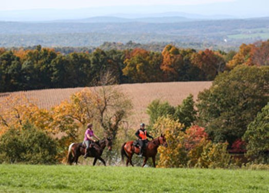 "Wethersfield-General-ad.jpg"