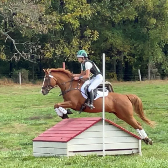 "Waradaca_XCSchooling.png"