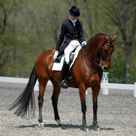 "BCHPDressage2(5-6-07)0171.jpg"