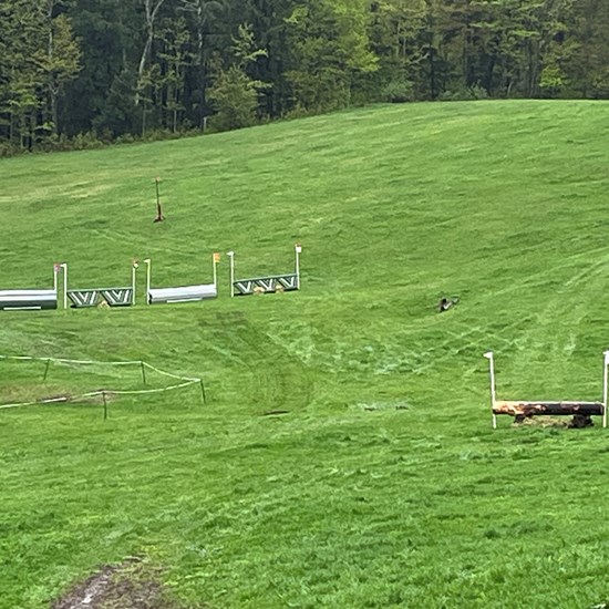 "7CE2C3DA-232D-4CF3-B6D2-738A49E81E97.jpeg"