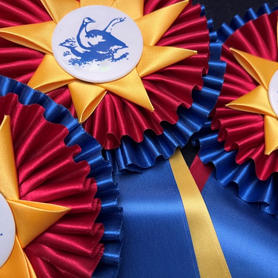 "CH BGS Ribbons IMG-1462.jpg"