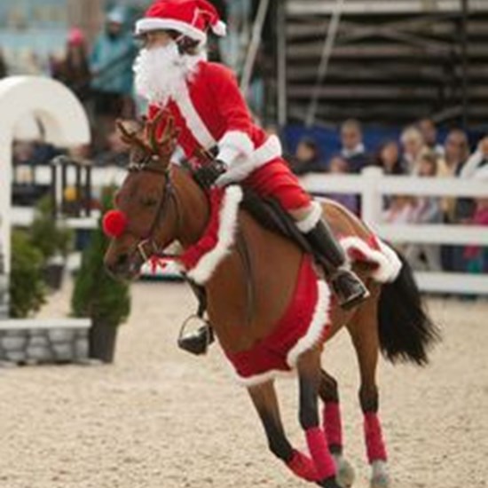 "santa horse.jpg"