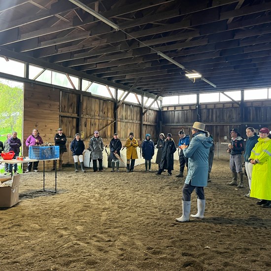 "00D94473-B7C7-4565-A20C-265A1FF53F3F.jpeg"