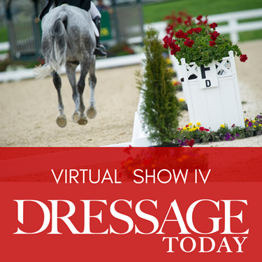 "DT virtual show iv strider image.png"
