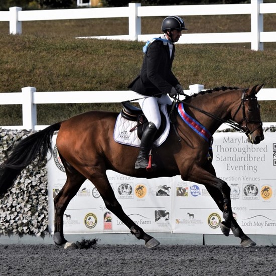 "Frame Shamrock by GRC Photo.JPG"