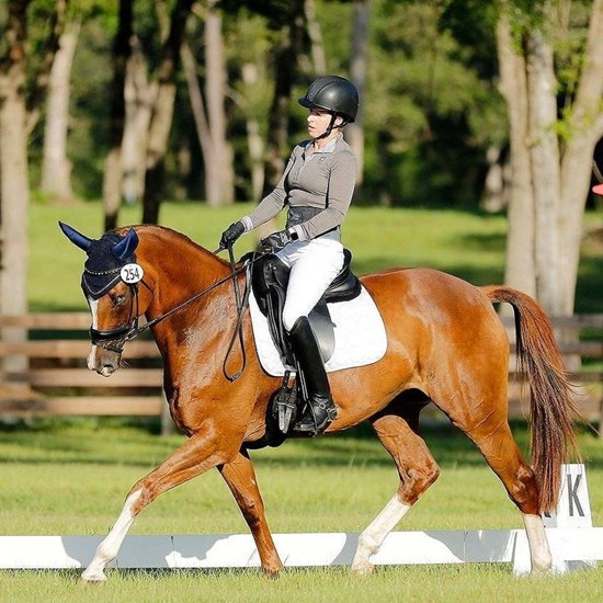 "barnstaple dressage.jpg"