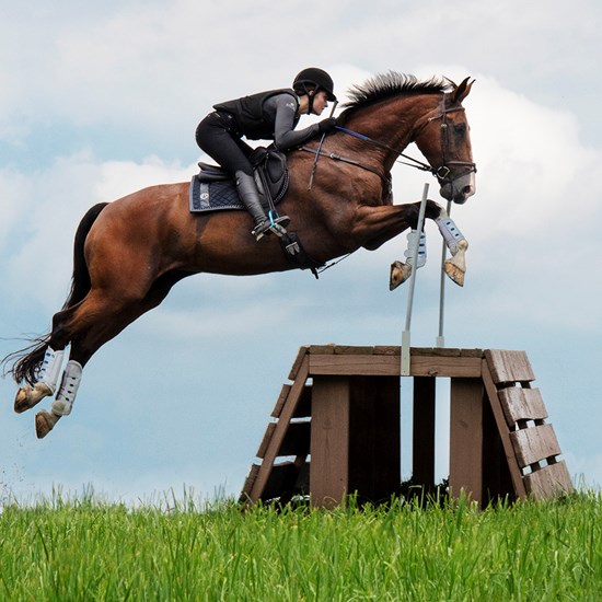 "Windchase XC Derby 2020.jpg"