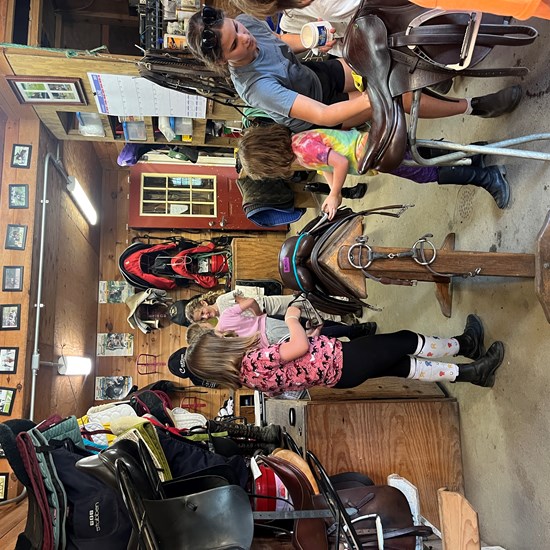 "6B1358D8-2E81-44EF-9F6A-F4D5F5FA35CF.jpeg"