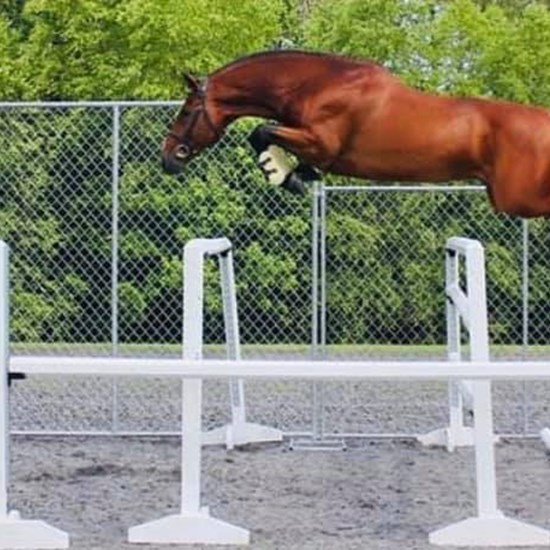 "freejump.jpg"