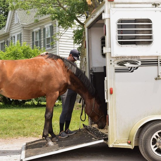 "Alway Trailer loading 2.jpg"