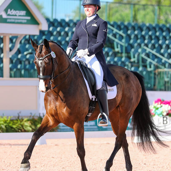 "LaurenSprieser_Dressage.png"
