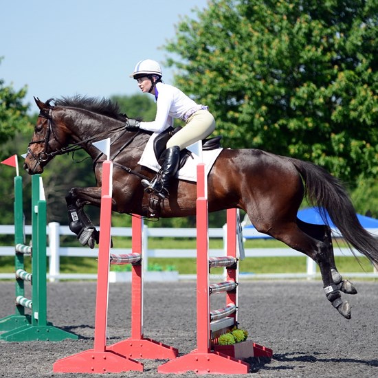 "B ECS18-1417802.JPG"