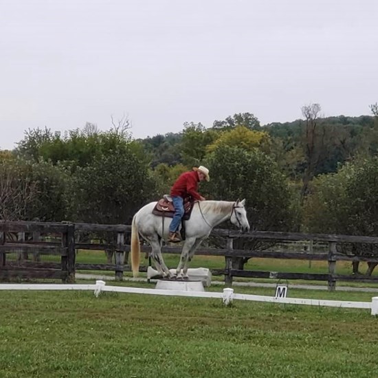 "Jim and Beau on Pedestal.jpg"
