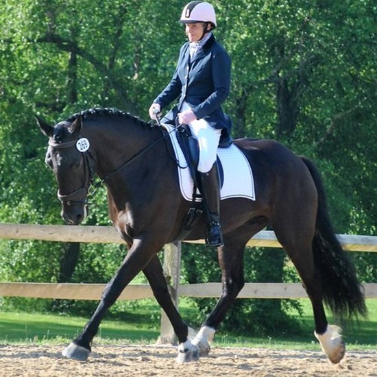"Aviva Nebesky Harley.jpg"