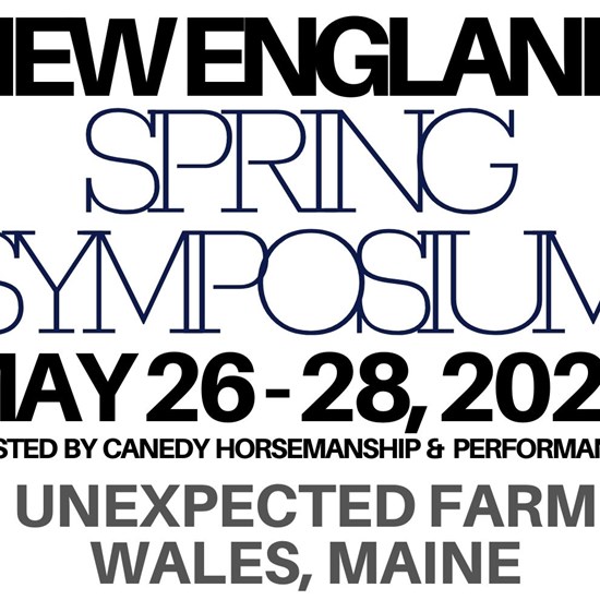 "Copy of 2023 NESS LOGO.jpg"