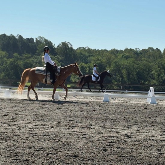 "4fb653af-9e11-4787-af85-b997dc7fb2d6.jpg"