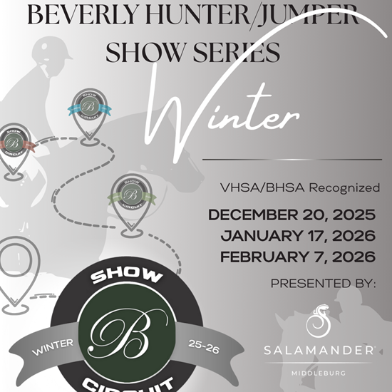 "Winter Pathway Series Portrait.png"