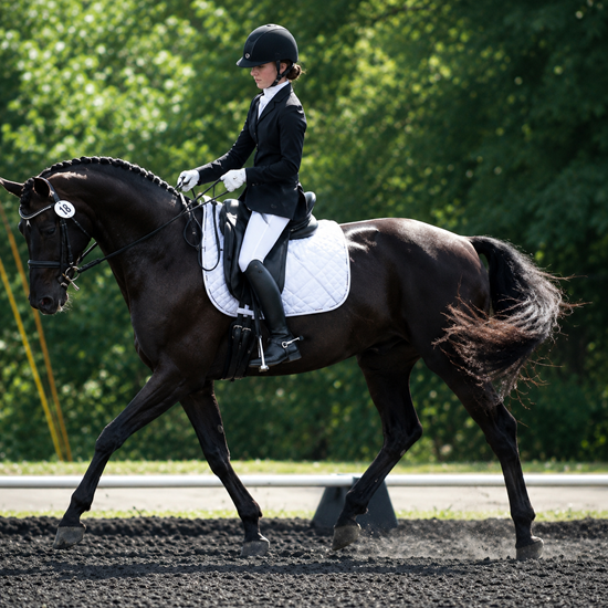 "Racine County Pony Club Equestrian Center Dressage Schooling Show.png"