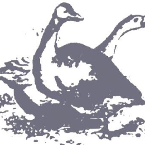 "logo BGS.jpg"