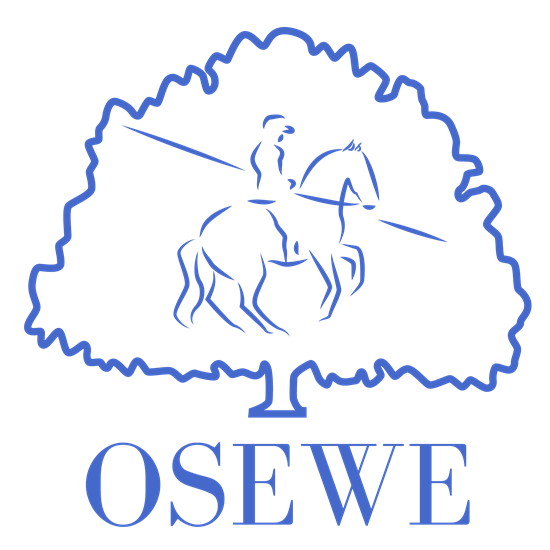 "OSEWE Outline PSD Blue copy.png"
