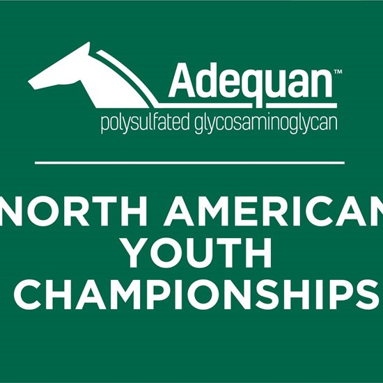 "2020 NAYC Logo.jpg"